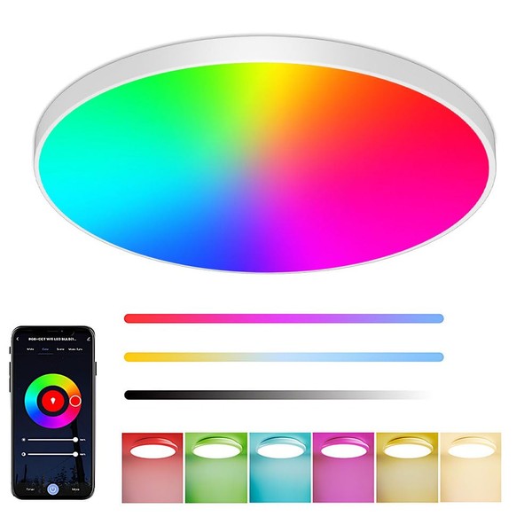 Eregou LED Ceiling Light Dimmable 24 W, Smart Ceiling Light