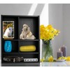 Sofunii Pet Memorial Shadow Box with Shelves for Dogs or