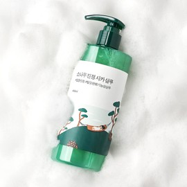roundlab 라운드랩 소나무 진정 시카 샴푸 400ml