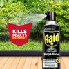 Raid Wasp and Hornet Killer Spray, Kills the entire nest,