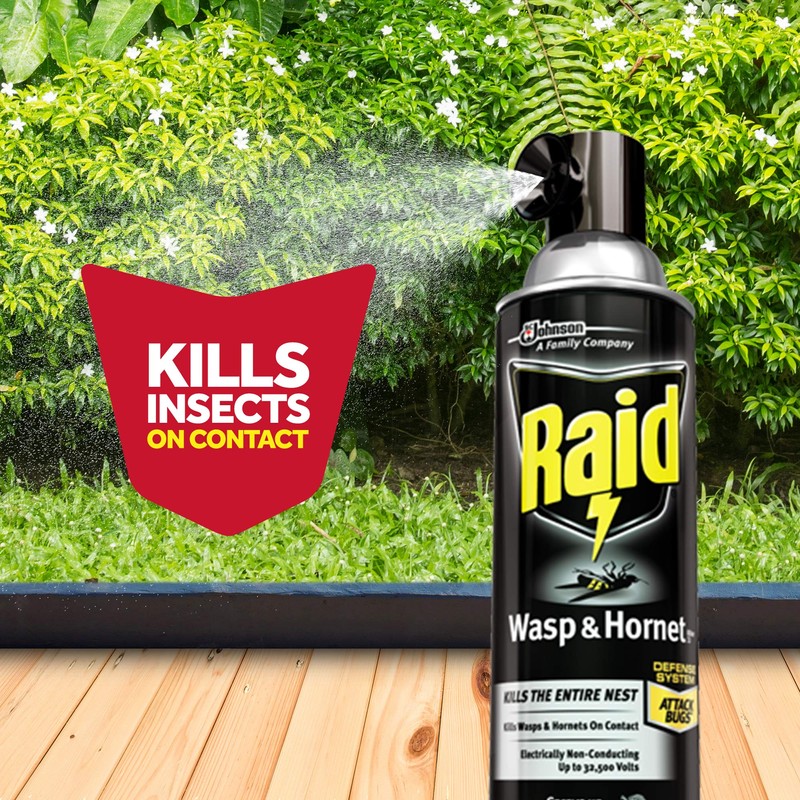 Raid Wasp and Hornet Killer Spray, Kills the entire nest,