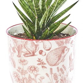 CHIVE ‘Liberte’ Ceramic Succulent Pots — 4.25” Cute Vintage Farmhouse Style Planters for Indoor Plants — Beautiful Home & Kitchen Decor — Red Squirrels