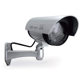 Avidsen - Kamera – Security Cameras (mit Kabel, Außen, Schwarz, Silber, Wand), Verwendung: Außen oder Innenbereich, wetterfest, Kontrollleuchte – 123054