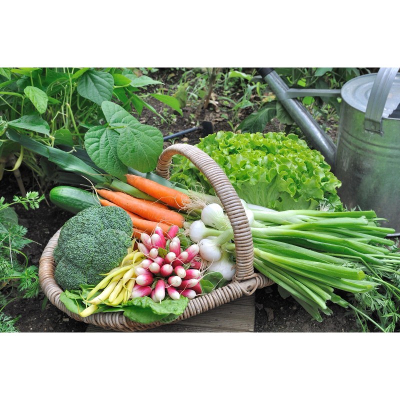 FRONTIER SEED CO. USA Survival Heirloom Seed Bank 6 varieties