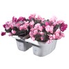 Apollo Self-Watering Saddle Railing Planter, 16"