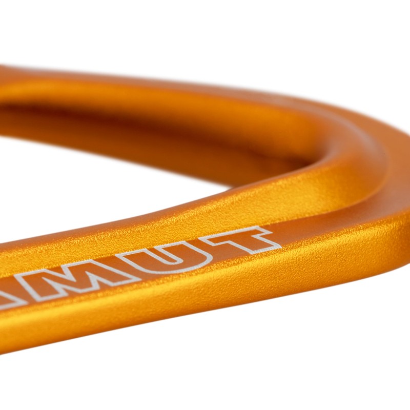 Mammut Sender Wire 17 cm Quickdraw Wire Gate/Wire Gate 17