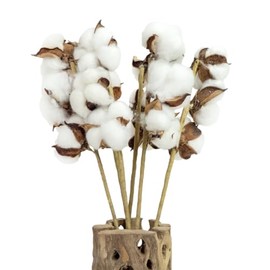 SuperMoss Cotton Stems Proflora All Natural Dried 3 Ball – 18pcs, 14.5” Cotton Sprigs for Home Decor, Wedding Decor, Farmhouse Wall Decor, Vase Filler, and Floral Arrangements, 6 Pack, (99998)