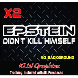 Vinyl Decal * Epstein Didn't Kill Himself * Conspiracy Truth Car Sticker