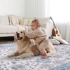 Vanmoos 2x3 Washable Area Rug – Soft, Non-Slip Entrance Rug,