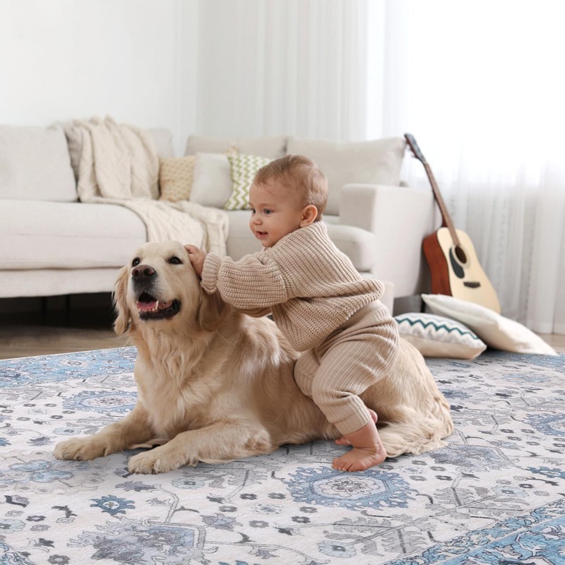 Vanmoos 2x3 Washable Area Rug – Soft, Non-Slip Entrance Rug,