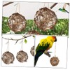 BESPORTBLE 3pcs Hummingbird Nesting Material Holder for Birds for Outdoor