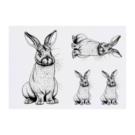 4 x 'Sitting Rabbit' Temporary Tattoos (TO00074440)