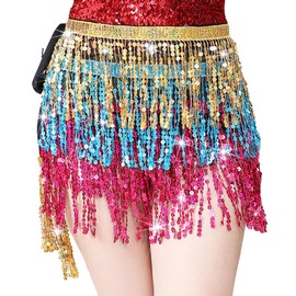 Baisdan Belly Dance Dancer Costume Sequin Tassel Fringe Hip Scarf Belt Waist Wrap Skirt Multicolor