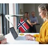 Norway Desk Flag, 30 cm Large Small Norwegian Banner Outdoor,