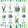 Colarr 48 Set Cactus Themed Gifts Cactus Pen Inspirational Pocket