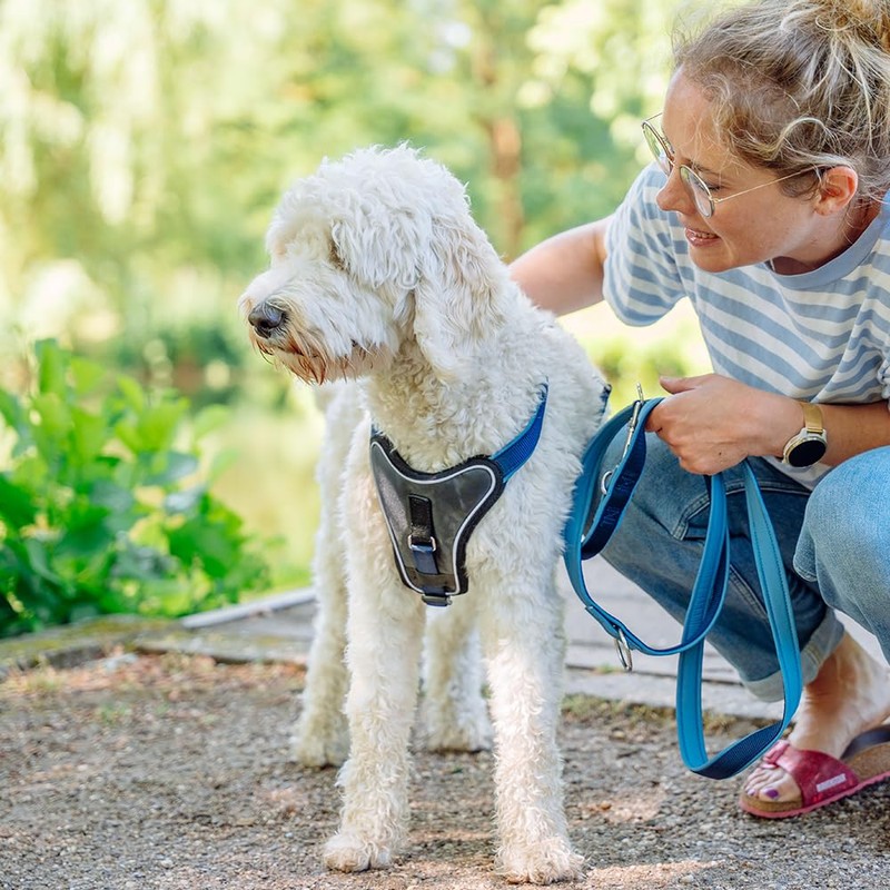 Nobby 80730 64 Comfort Harness Classic Preno, Raspberry/Pink