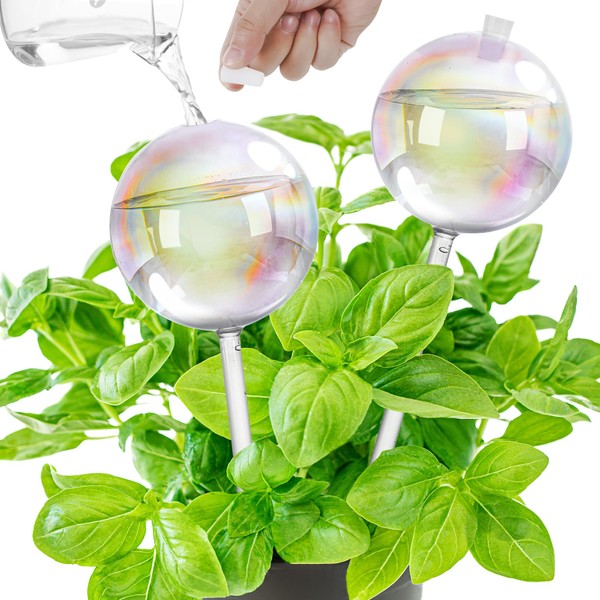 17 oz Up 2 Weeks Large Plant Watering Globes, Self