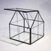 Ferrisland Glass Plant Terrarium Container Wardian Case Indoor Small Succulent