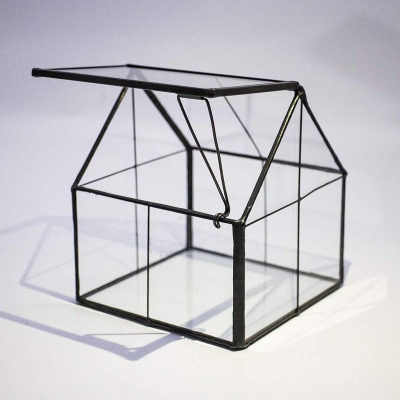 Ferrisland Glass Plant Terrarium Container Wardian Case Indoor Small Succulent
