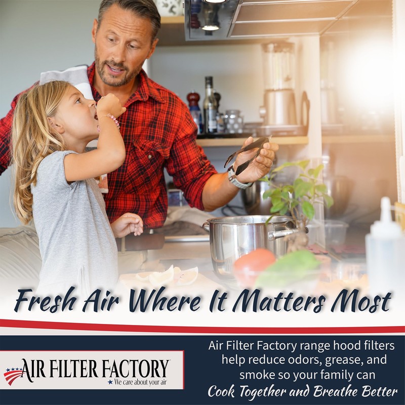 Air Filter Factory Range Hood Filter BPQTF, 99010317, QT2000, WA6500,