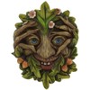 Fiesta Studios Cheeky Peeper Treant Face Wall Plaque Garden Greenman