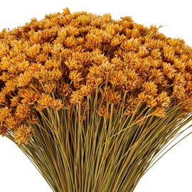 Vickerman 14" Dried Natural Hil Flower Bunch, 16 oz. This is a natural product, dimensions and color may vary plant to plant.
