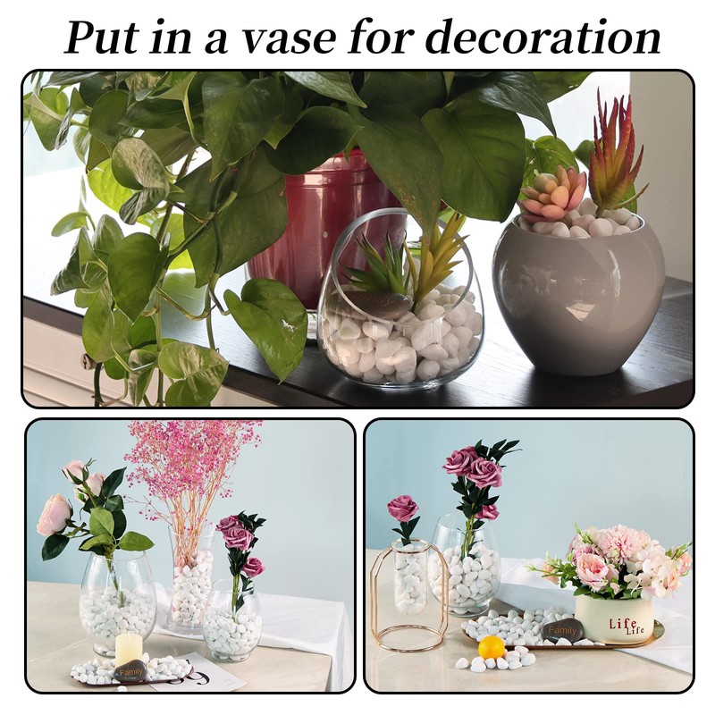 Lechloris 2LBS Polished Pebbles for Plants -Natural River Rocks- Decorative