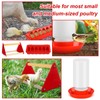 6 Pcs Chick Feeder and Waterer Kit with Chick Perch