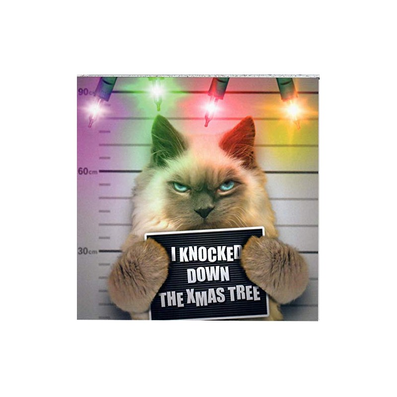 Mugshot Christmas Card