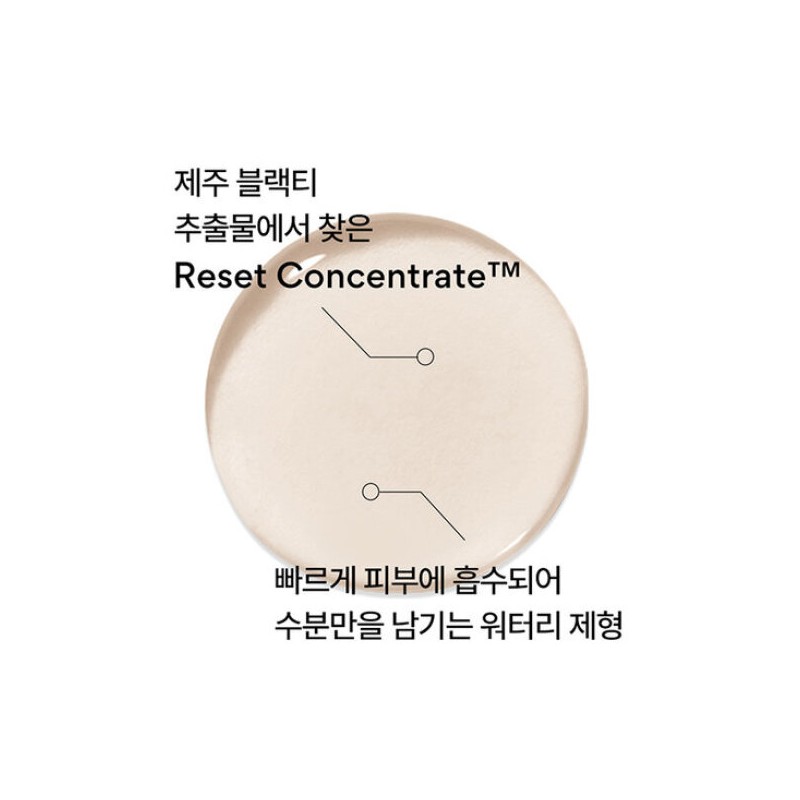 Innisfree 이니스프리 블랙티 유스 인핸싱 스킨 170mL Innisfree Black Tea
