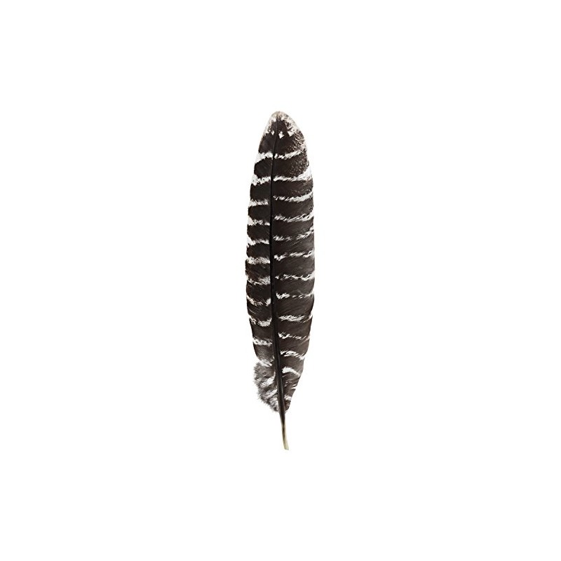 Incense Garden Grade A Barred Turkey Smudging Feather (no Stains,