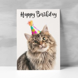 Postcard Prints - Birthday Card For Anyone Birthday Card For Friend Birthday Card For Her or For Him Persian Longhair Cat Birthday Card For Son or Daughter