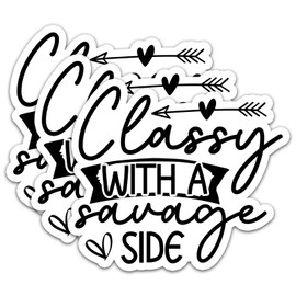 (3Pcs) Classy with A Savage Side Stickers Quotes Funny Stickers Decal Waterproof Vinyl Stickers Adult for Laptop Kindle Car Tumbler Water Bottle Mug Phone Notebook Helmet Size 3”x2.6”