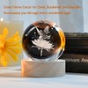 ZRENJHUS Flower Fairy Crystal Ball Fairy with Flower Glass Decor