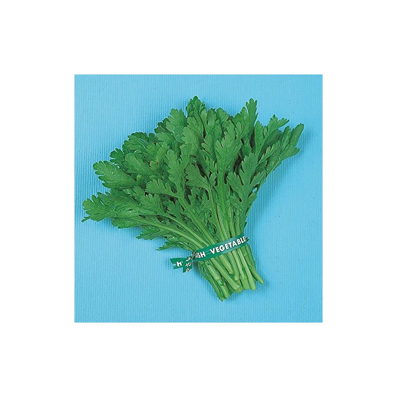 Chrysanthemum Greens Seeds - Garland Round Leaf - 1 Oz
