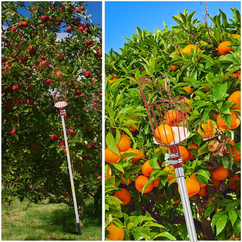 SAN LIKE Fruit Picker Pole with Basket 8FT Adjustable Higher