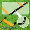 Training Ladder Soccer Futsal Basket Training Agility 5m Plates, 9