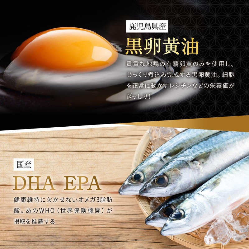 国産 三黒の美酢（約2ヶ月分／124粒）黒酢もろみ 黒にんにく DHA EPA 黒卵黄油 九州産原材料使用 朝の目覚め 疲れ お子さまにも
