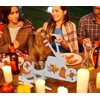 Zhiwei Motorcycle Beer Can Chicken Holder for Grill, Portable Beer