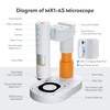 MatataStudio MX1-AS Digital Microscope for Kids, 3.5X-1000X USB Portable