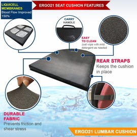 ERGO21 Lumbar Support Pillow for Office Chair, Car, Driving Seat, Auto, Lower Back P...