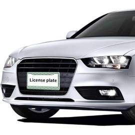 MFQLL Green License Plate Frame Printed with Small Flowers, Vintage License Plate Cover for US Vehicles Standard with 2 Holes and Screws Size 12x6 Inch