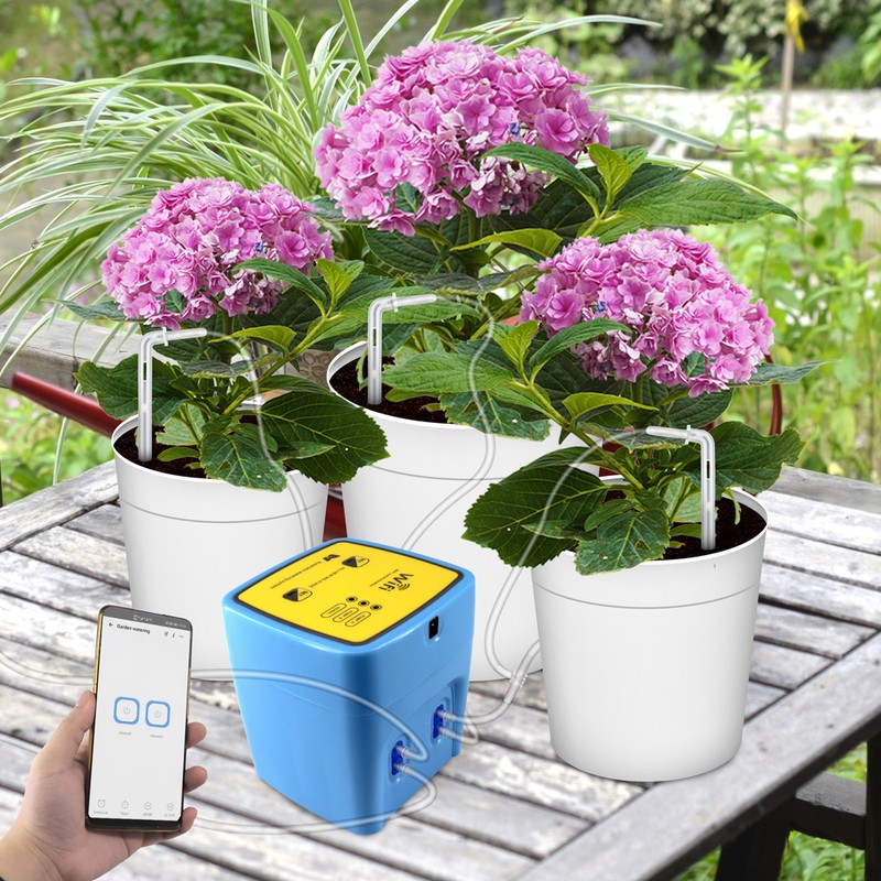WIFI Intelligent Watering Device Double Pump Timed Automatic Drip Irrigation