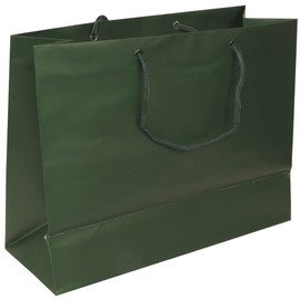 JAM Paper Matte Horizontal Bags - Large - 13 x 10 x 5 - Hunter Green - Sold Individually
