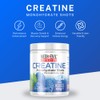 Medi-Evil Nutrition Creatine Monohydrate Powder 400g, Blue Raspberry Flavour, Micronised