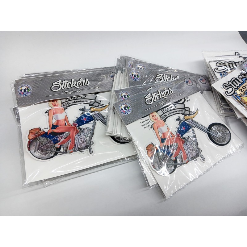 Sturgis 2025 Pin Up Die Cut Vinyl Sticker