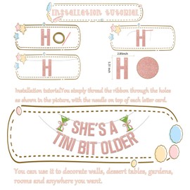 She's A Tini Bit Older Banner Tini Bit Older Decorations Martini Birthday Party Decorations Bachelorette Party Decor Supplies Rose Gold