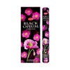 HEM Black Opium Big Pack 6 x 20 Incense Sticks