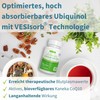 Igennus Healthcare Nutrition Vesisorb Ubiquinol 100mg, aktive Form von Coenzym