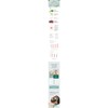 Eveever Sleeping Water Max Mask 250g + Beyond Body 2
